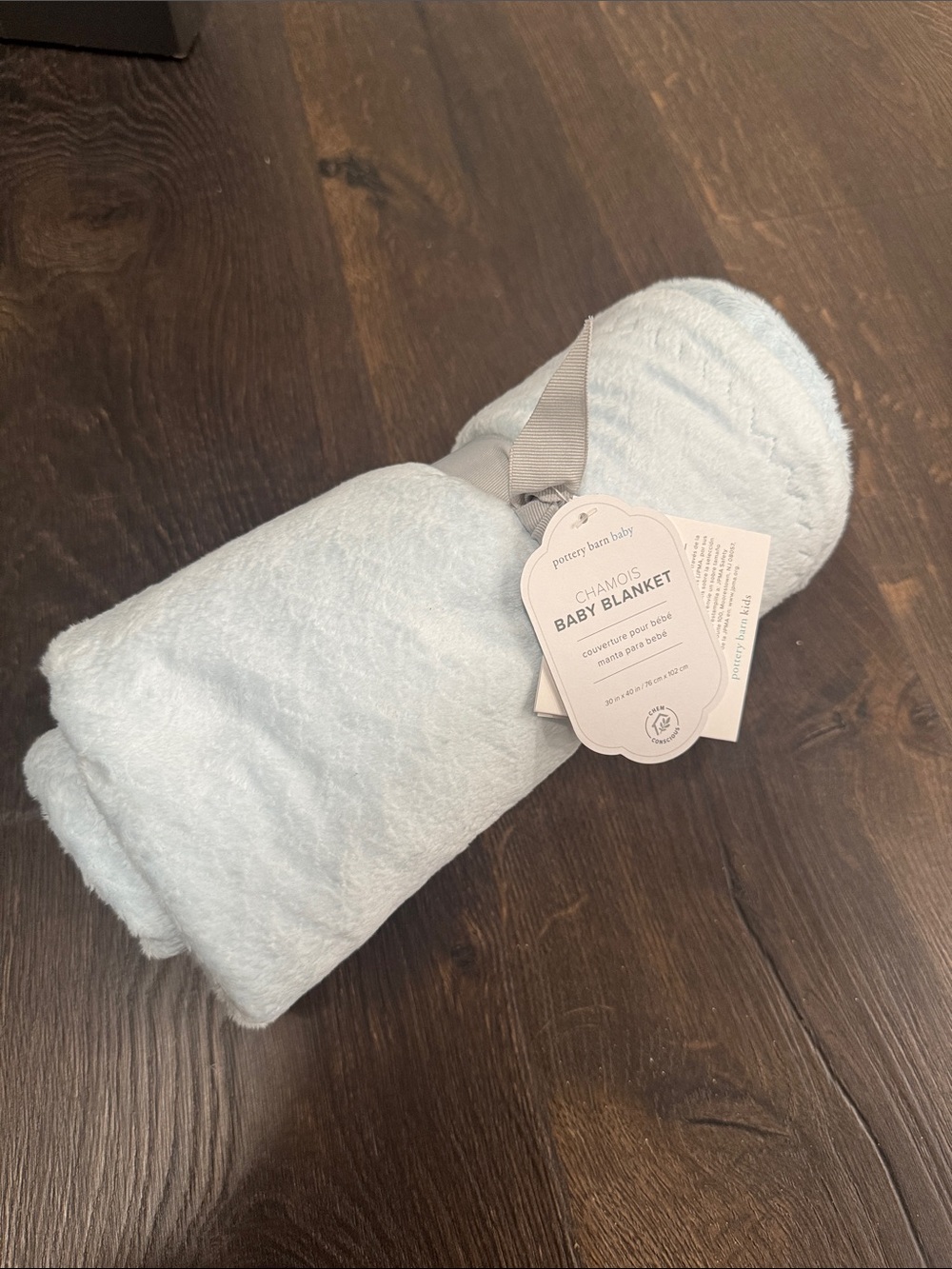 Pottery Barn Kids Plush Chamois Baby Blanket - Pale Blue